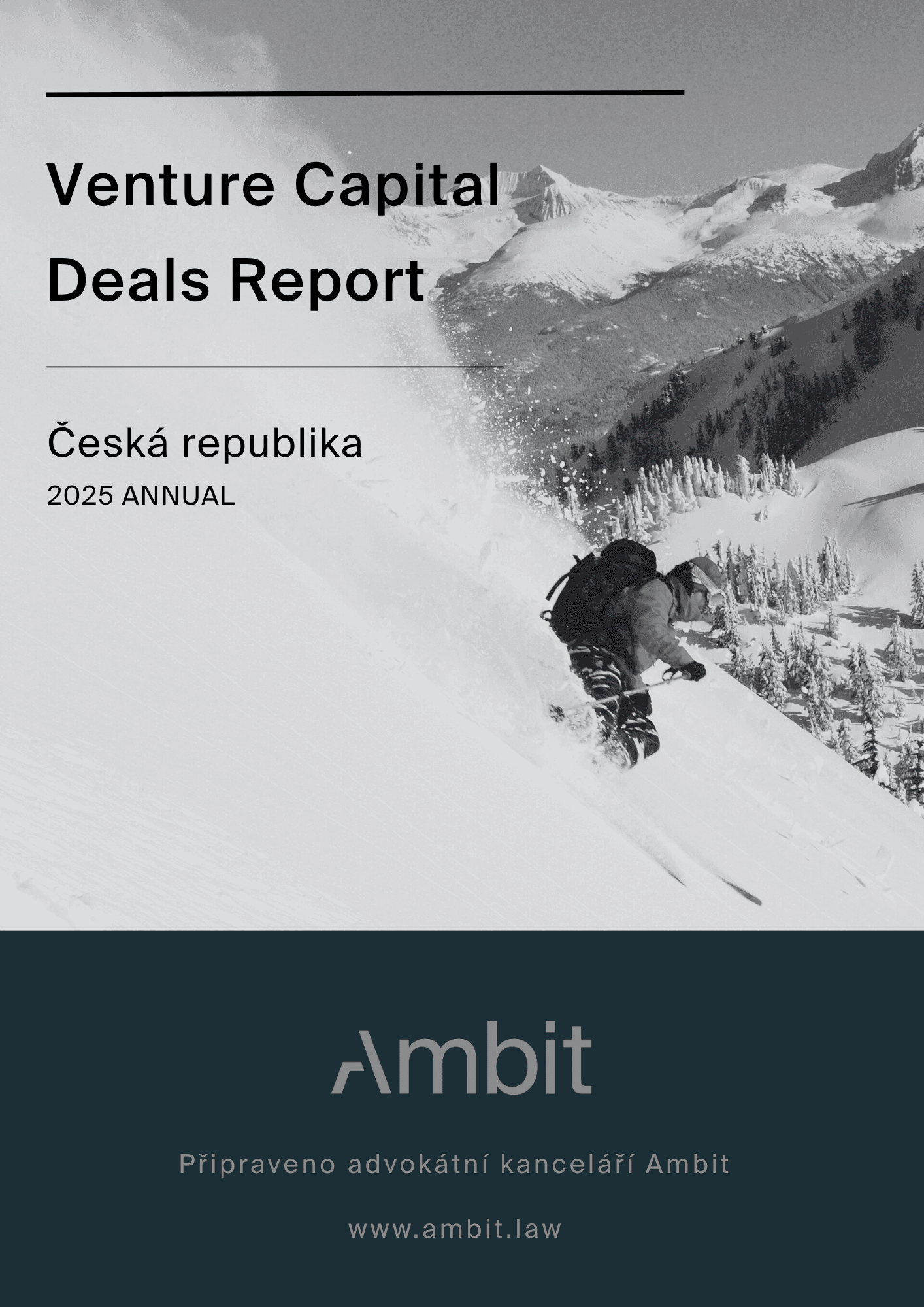 Venture Capital deals report 2025